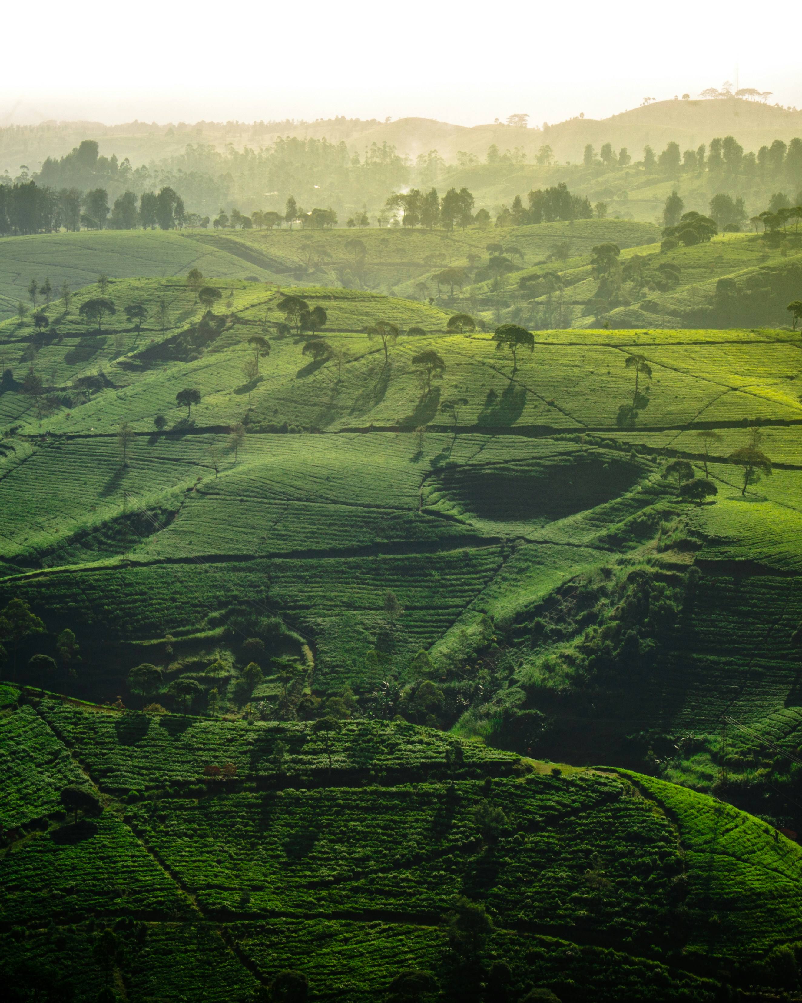 Photo by ekarizal_fikri