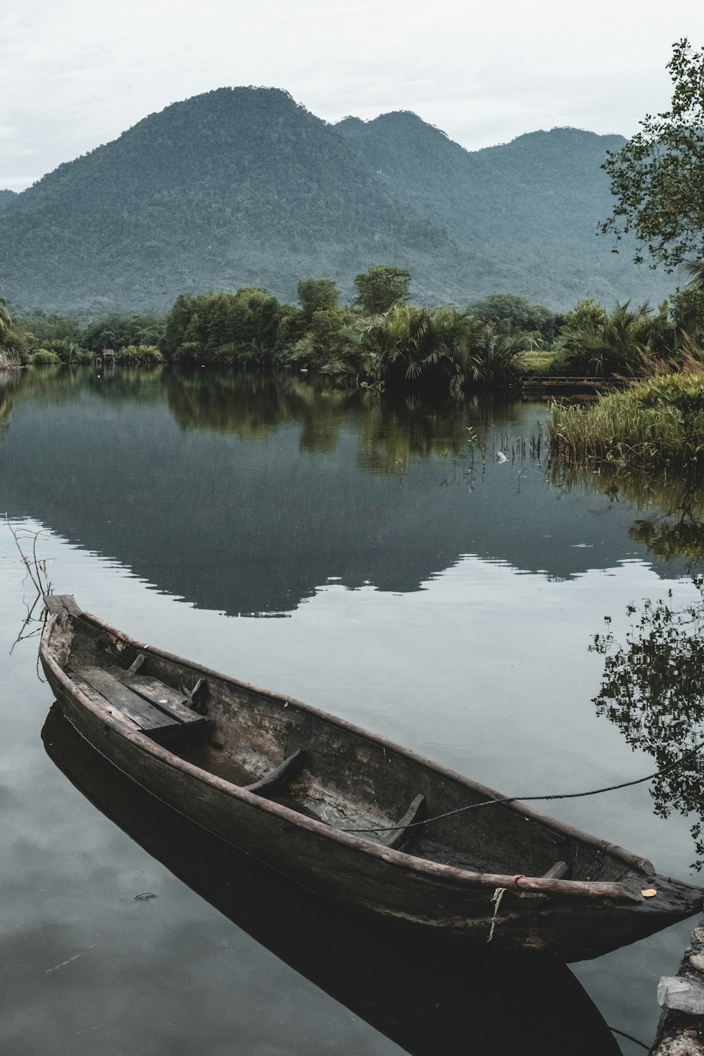 brown canoe on calm body of water near trees