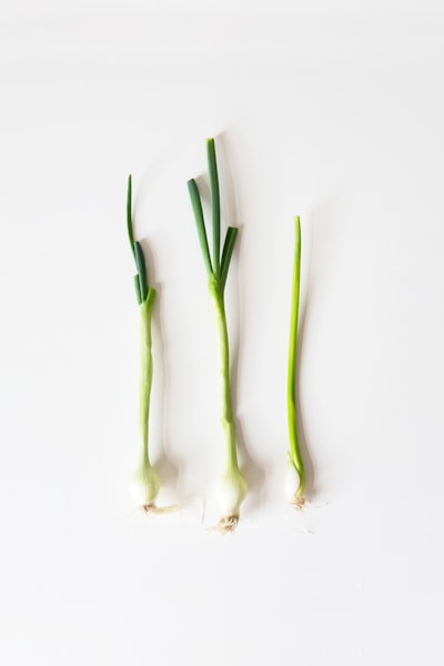 Calçots