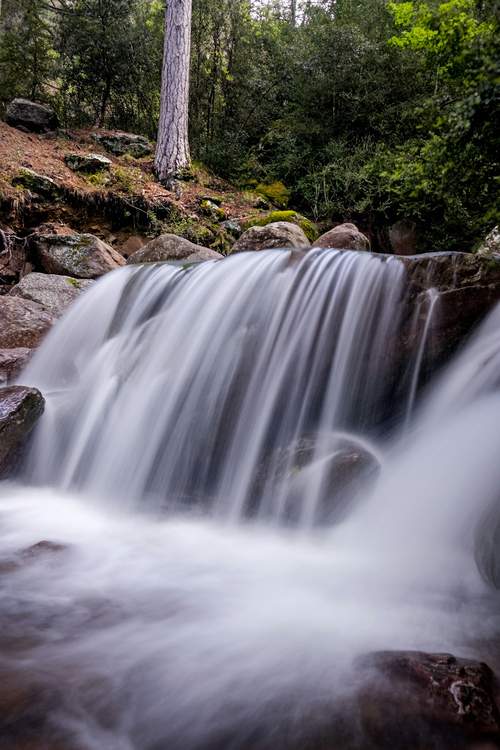 white waterfall in river