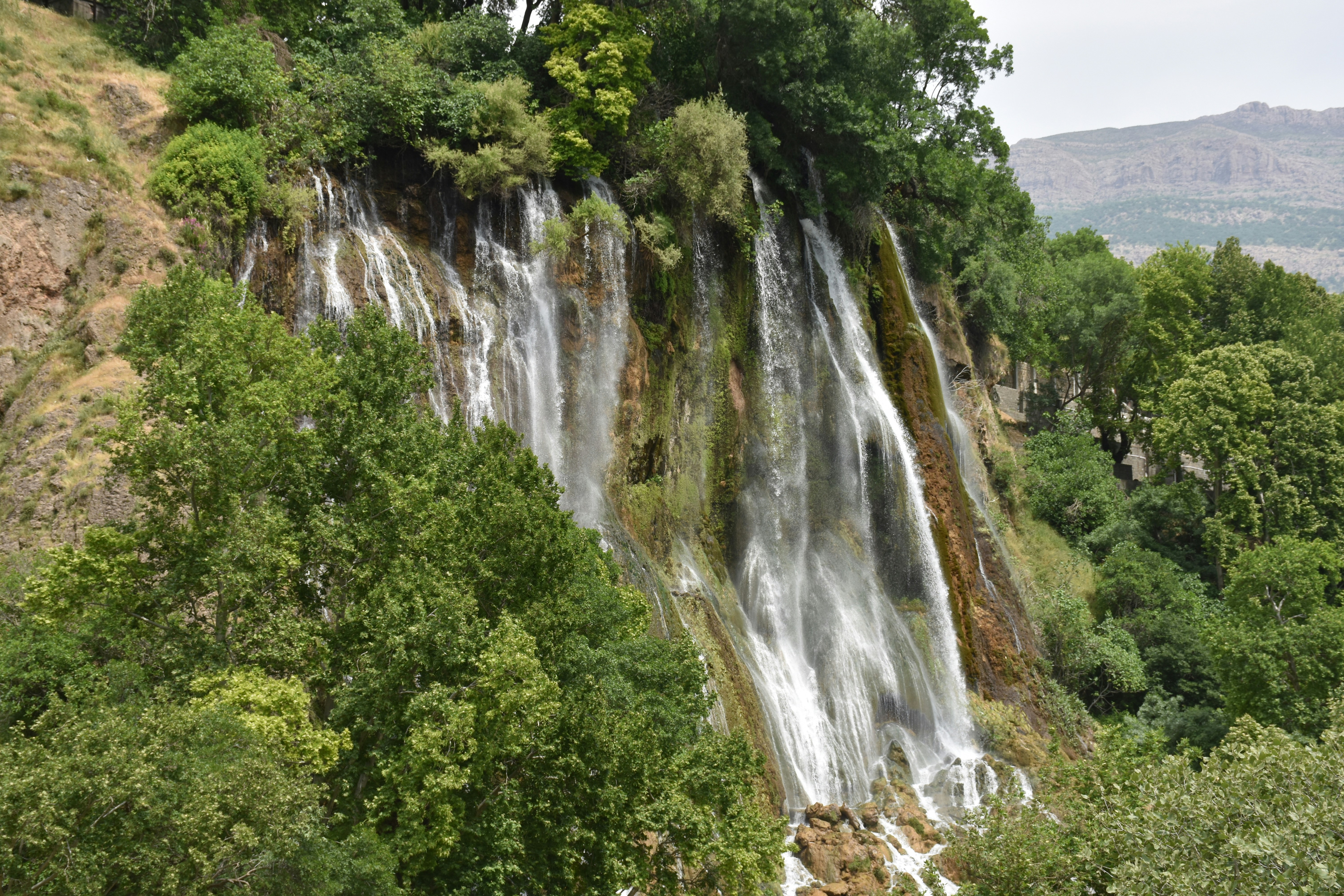 صورة المعرض