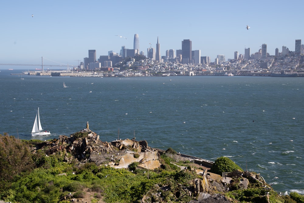 buildings near body of water