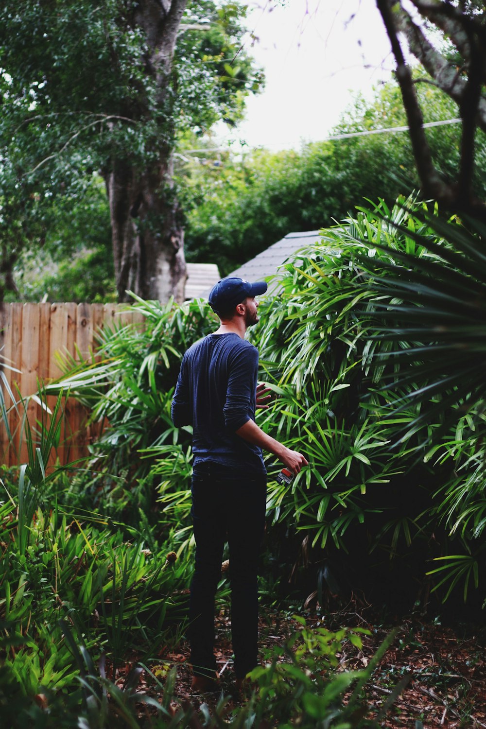 man wearing blue long-sleeved shirt standing beside green leafed plant