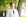 Health Social Care NVQ