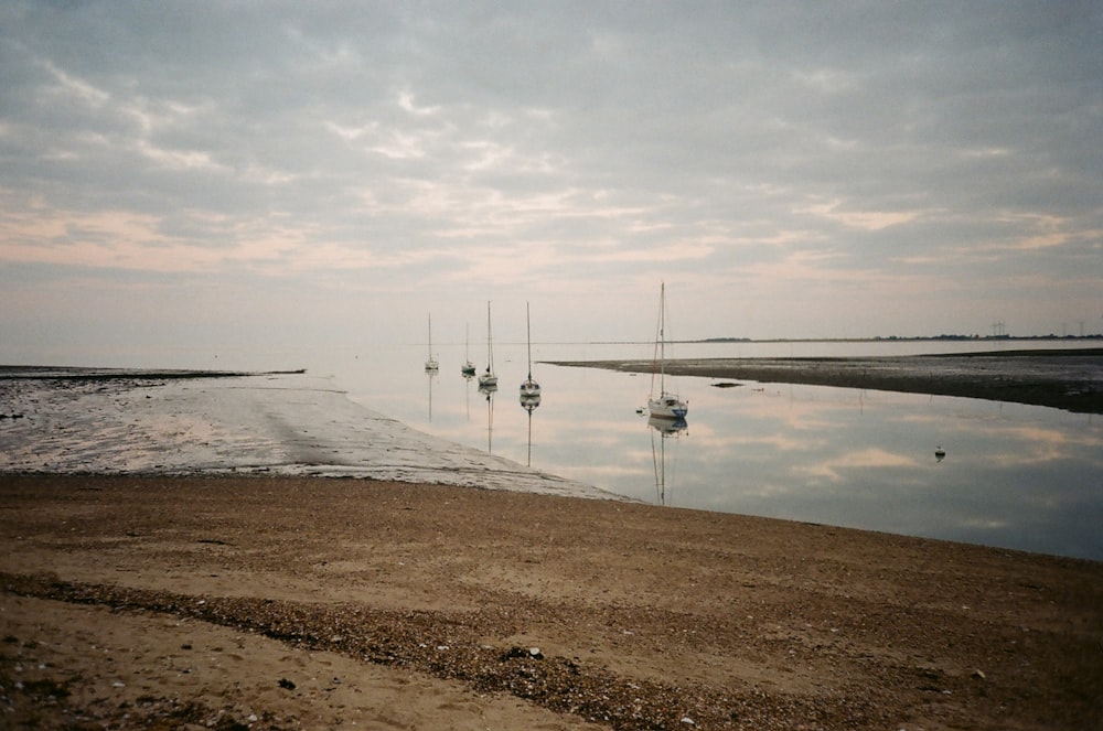 boats near land under cloudy sky