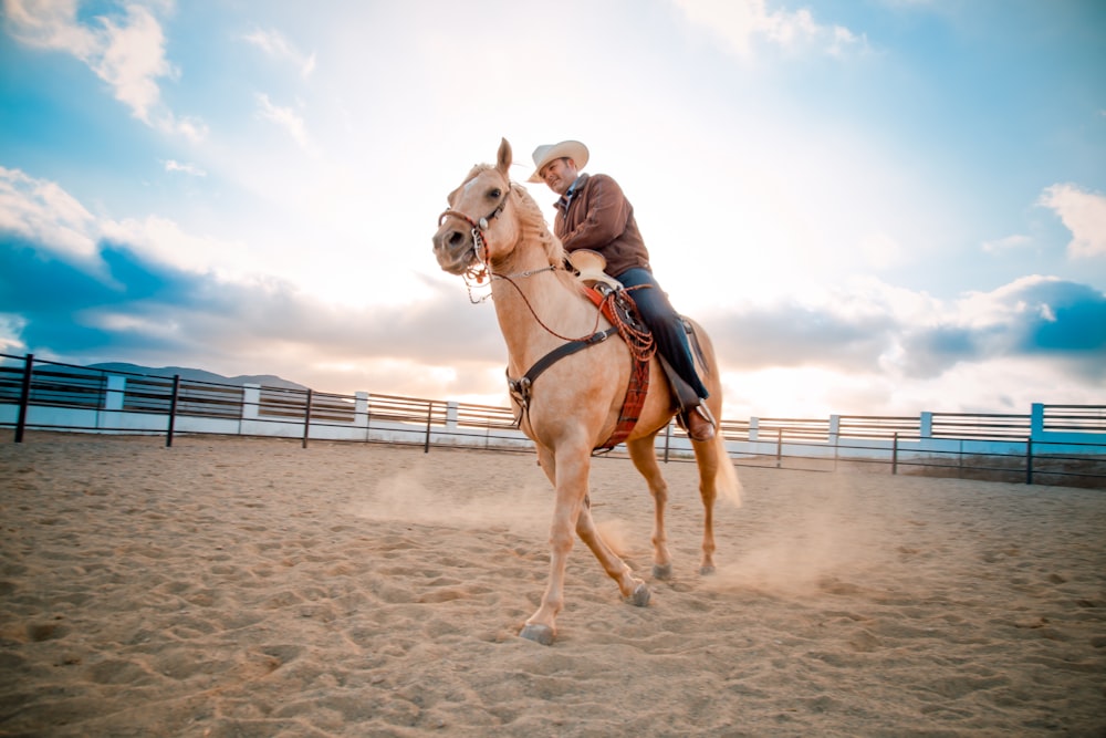 man riding white horse under blue sky