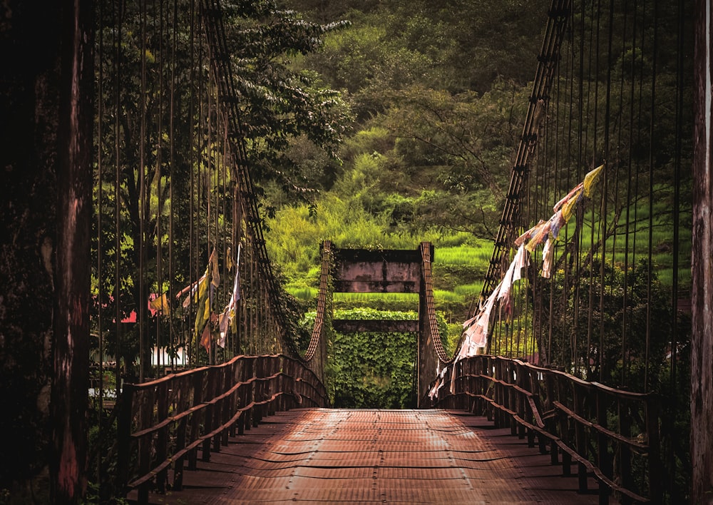 empty bridge at daytime