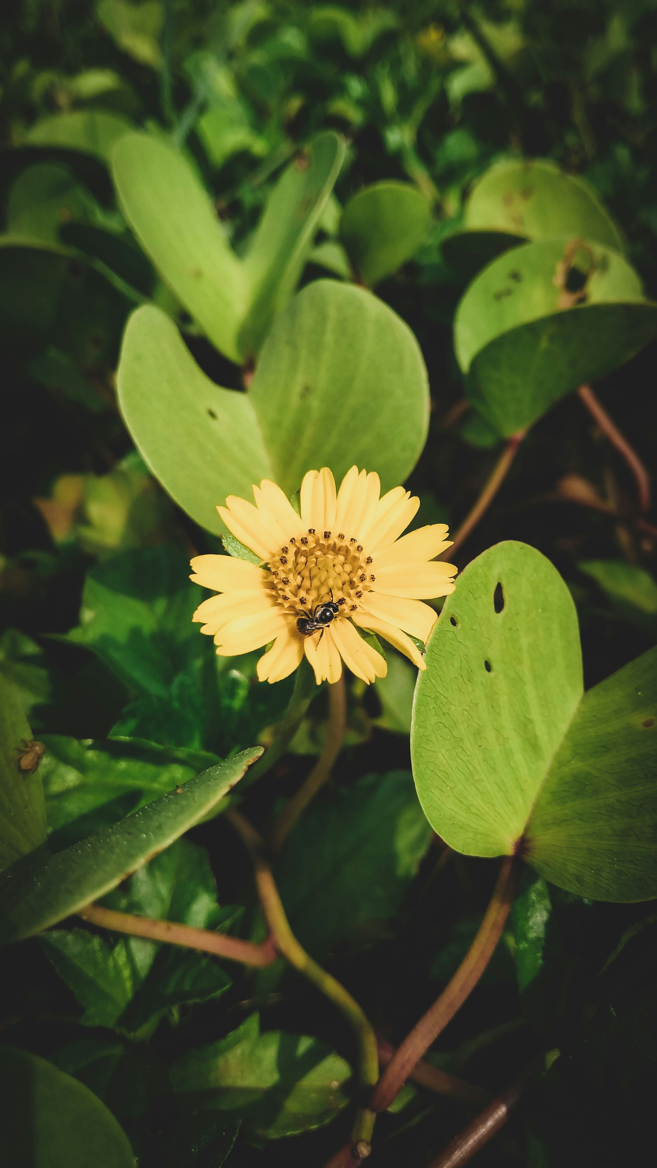 Photo by shiva_photography078