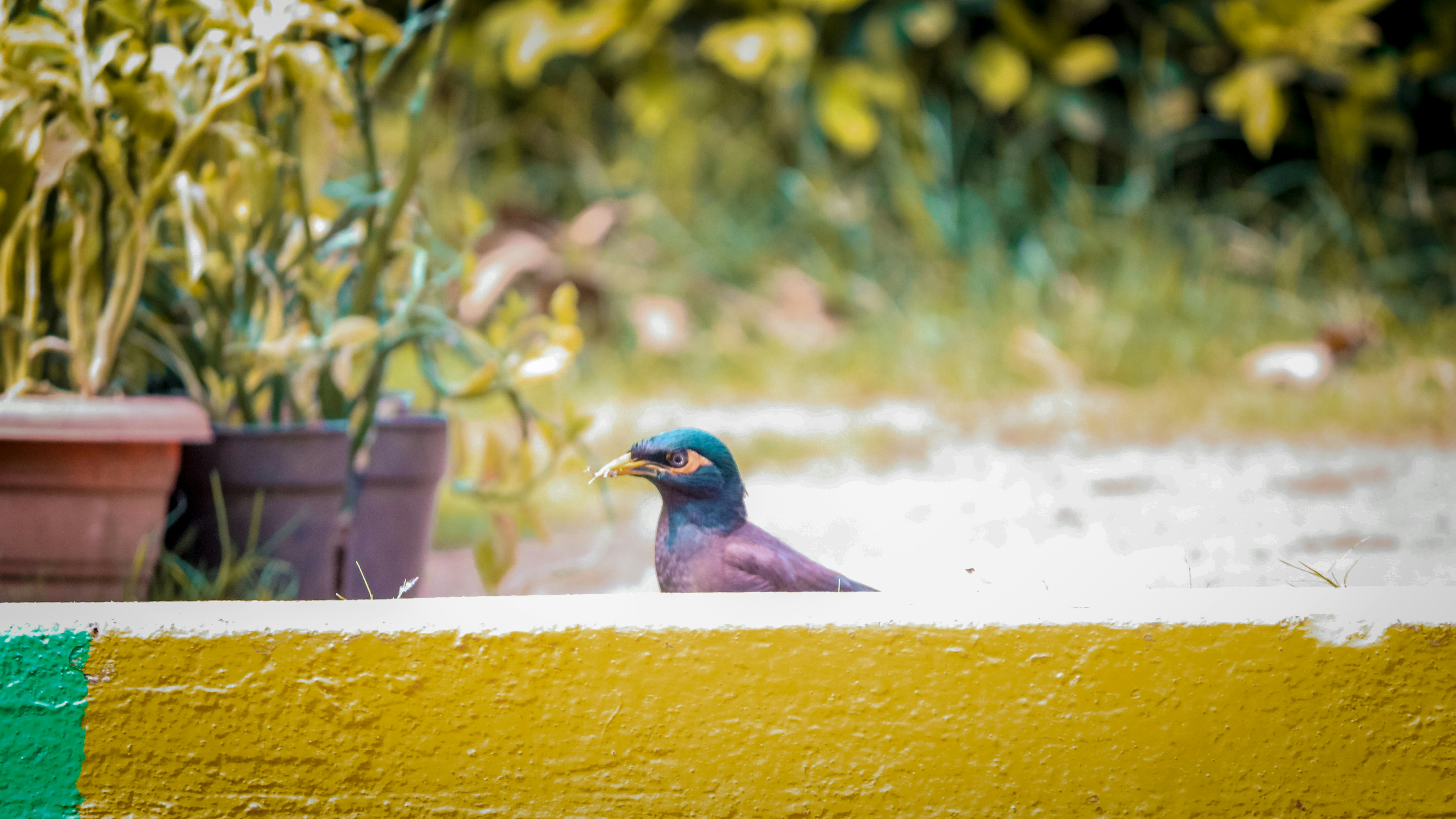 Photo by shiva_photography078