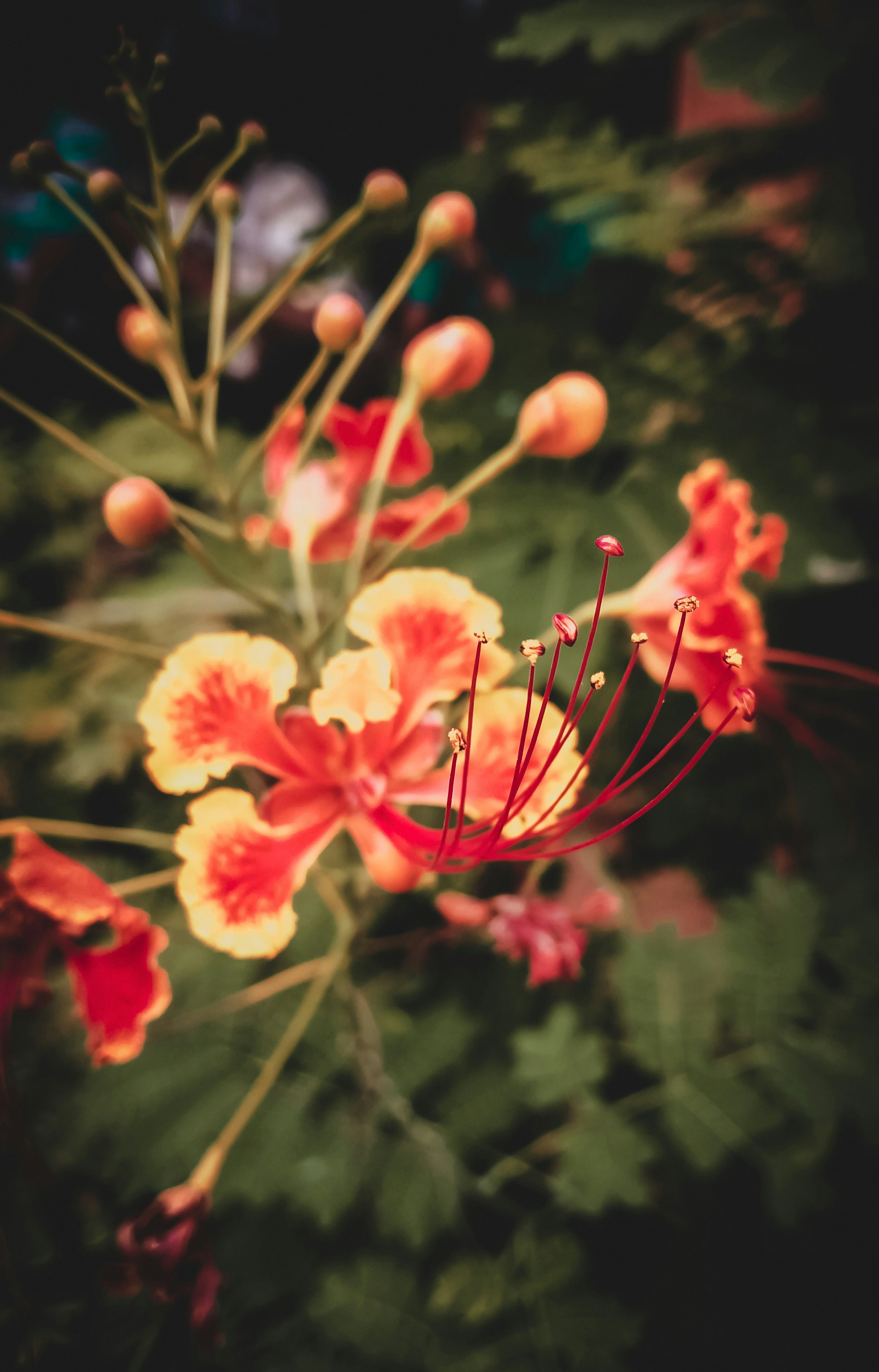 Photo by shiva_photography078