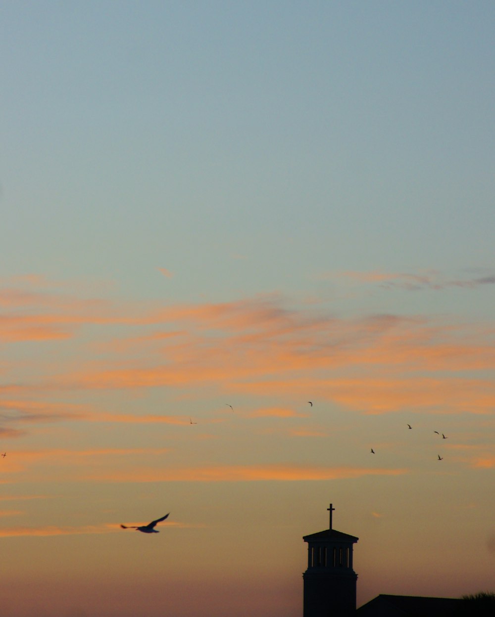 a bird flying in the sky at sunset