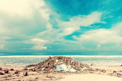 A beach scene with a large pile of debris, including driftwood and plastic waste, in the foreground. The ocean waves gently crash in the background under a partly cloudy sky. Several people can be seen in the distance, enjoying the water.