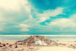 A beach scene with a large pile of debris, including driftwood and plastic waste, in the foreground. The ocean waves gently crash in the background under a partly cloudy sky. Several people can be seen in the distance, enjoying the water.