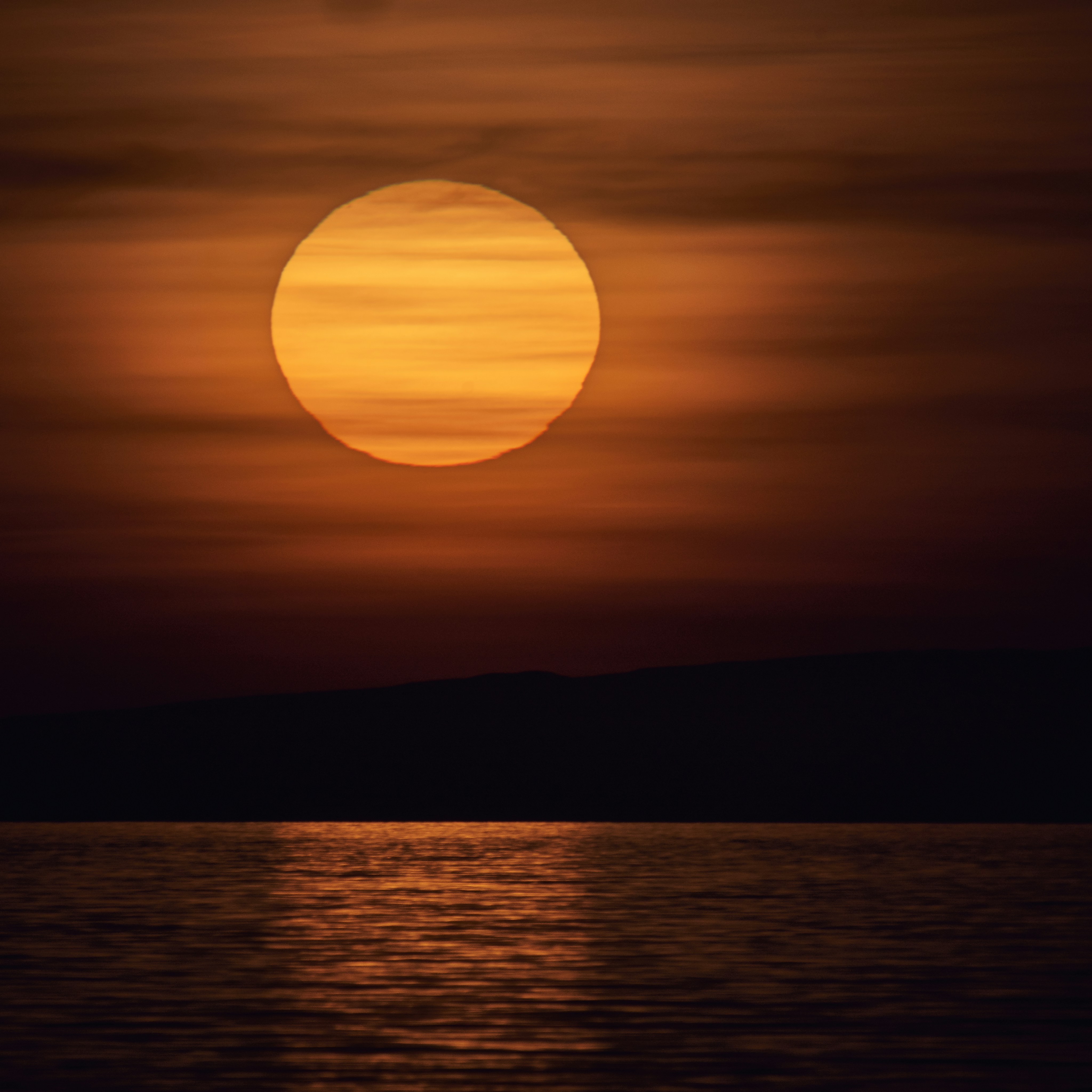 親愛的陌生人 - 忘記大膽做一個真實的自己，活得小心翼翼，深怕一個不注意就傷到他人，但諷刺的是，這些傷都被轉移到自己身上。
