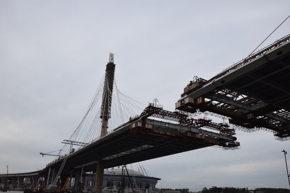 low-angel photography of bridge during daytime