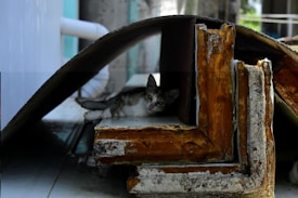 A small cat is resting within a makeshift shelter formed by large pieces of rusted metal and wood. The cat peeks out from the shadows, surrounded by industrial debris, under a curved sheet that provides cover.