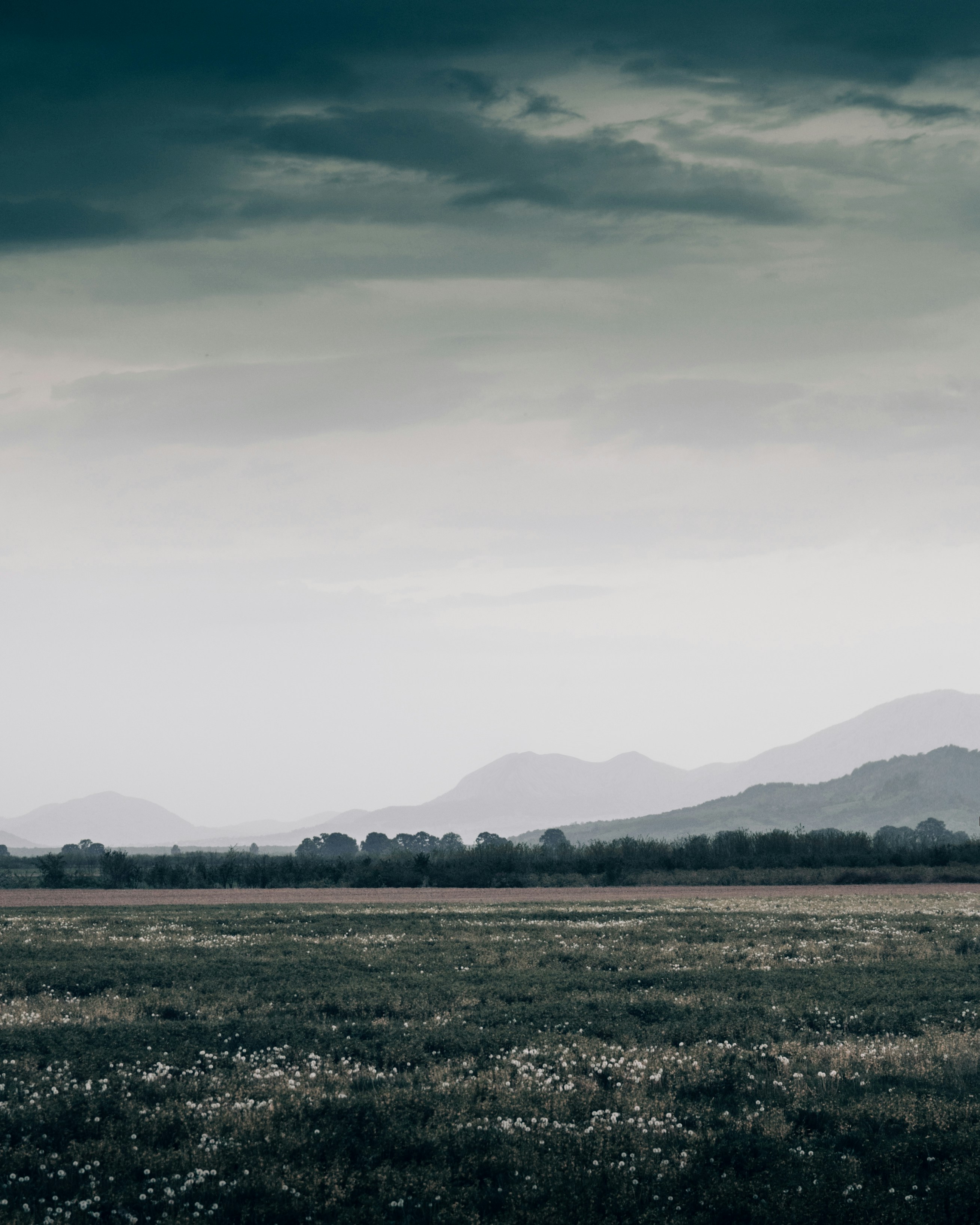 Photo by chrisslozan