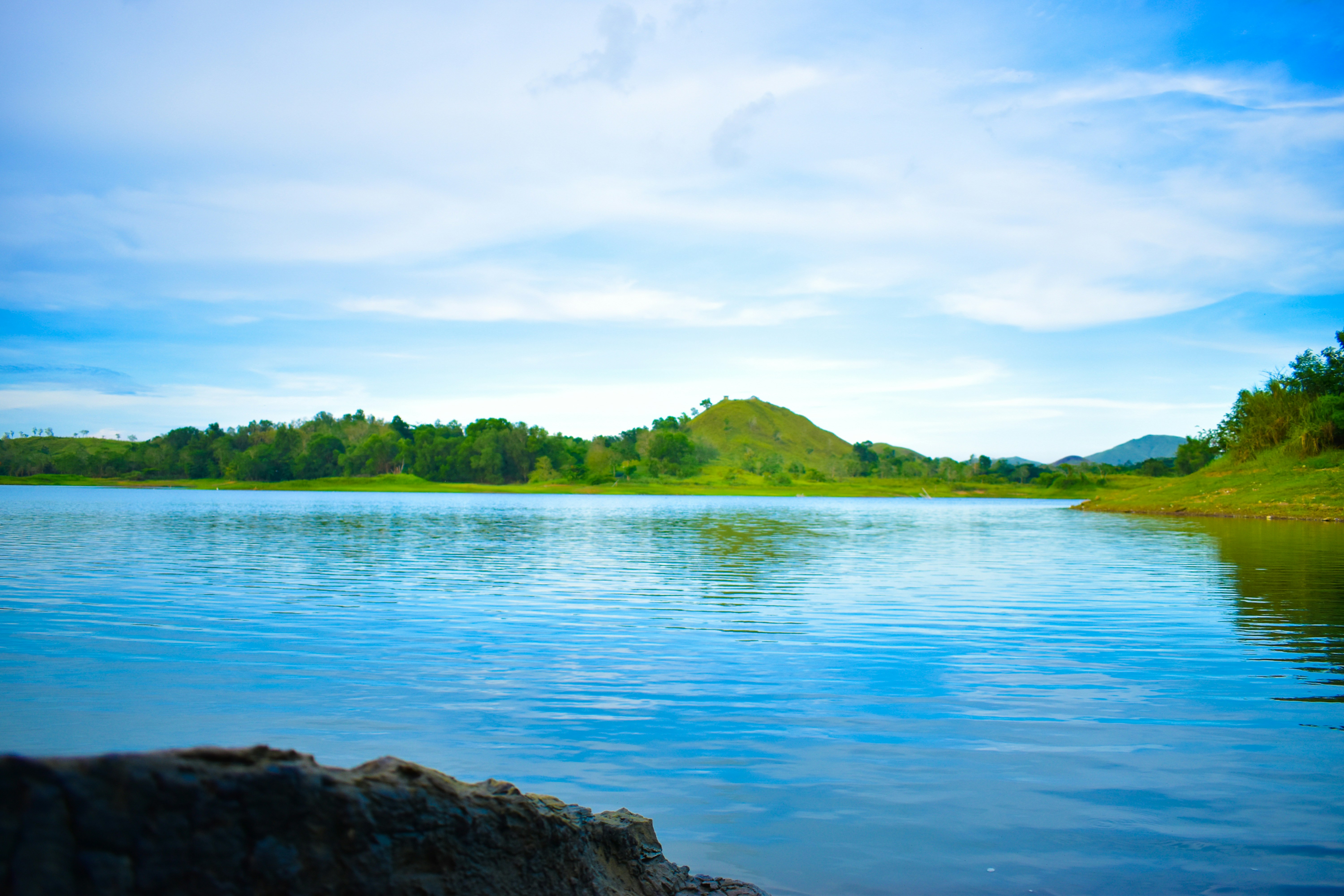 Hypnotherapy Sessions- one month (4 sessions)