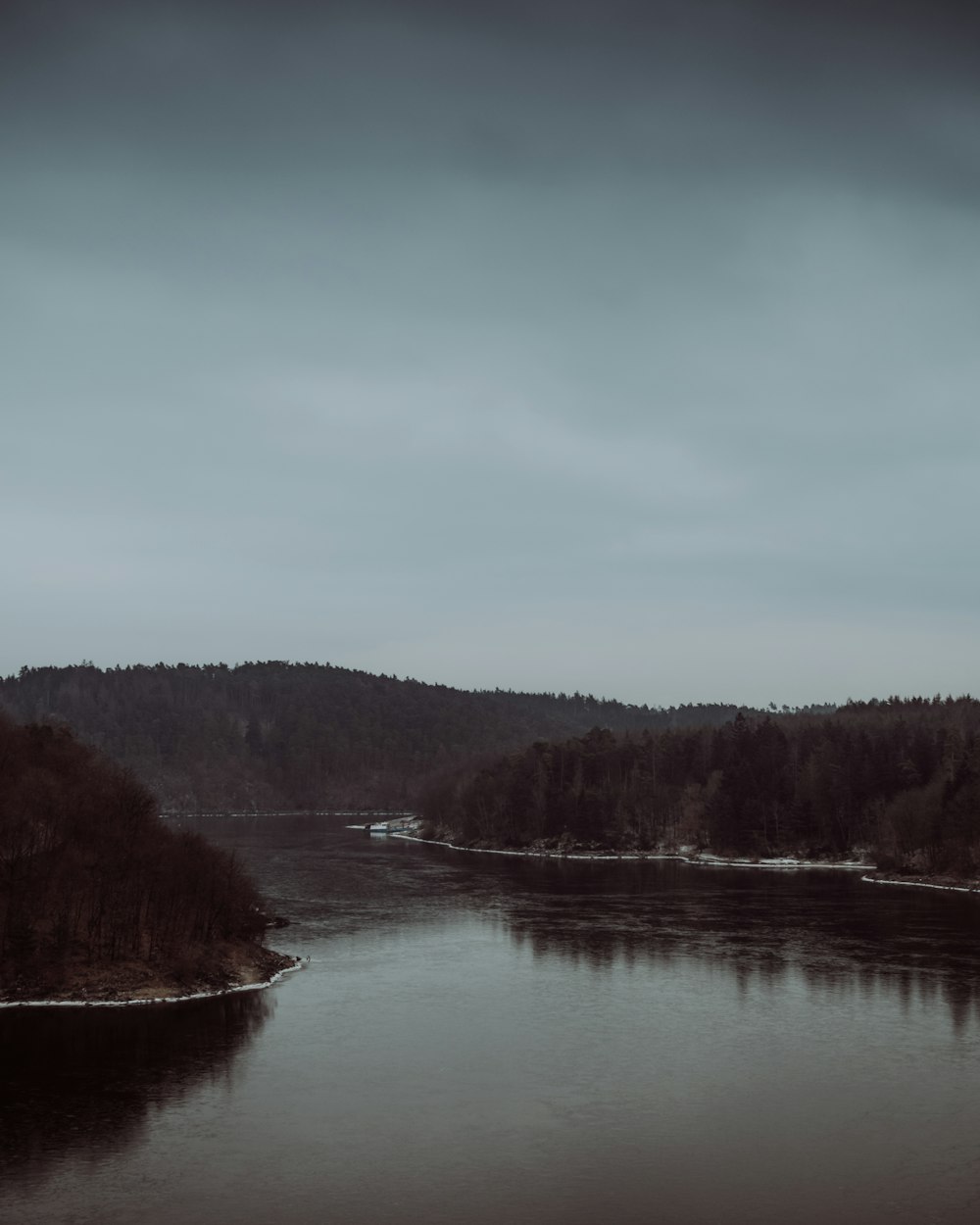 body of water between trees