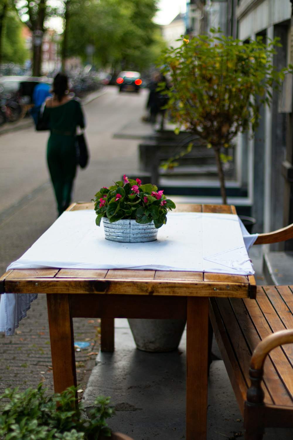 pink petaled flower on table