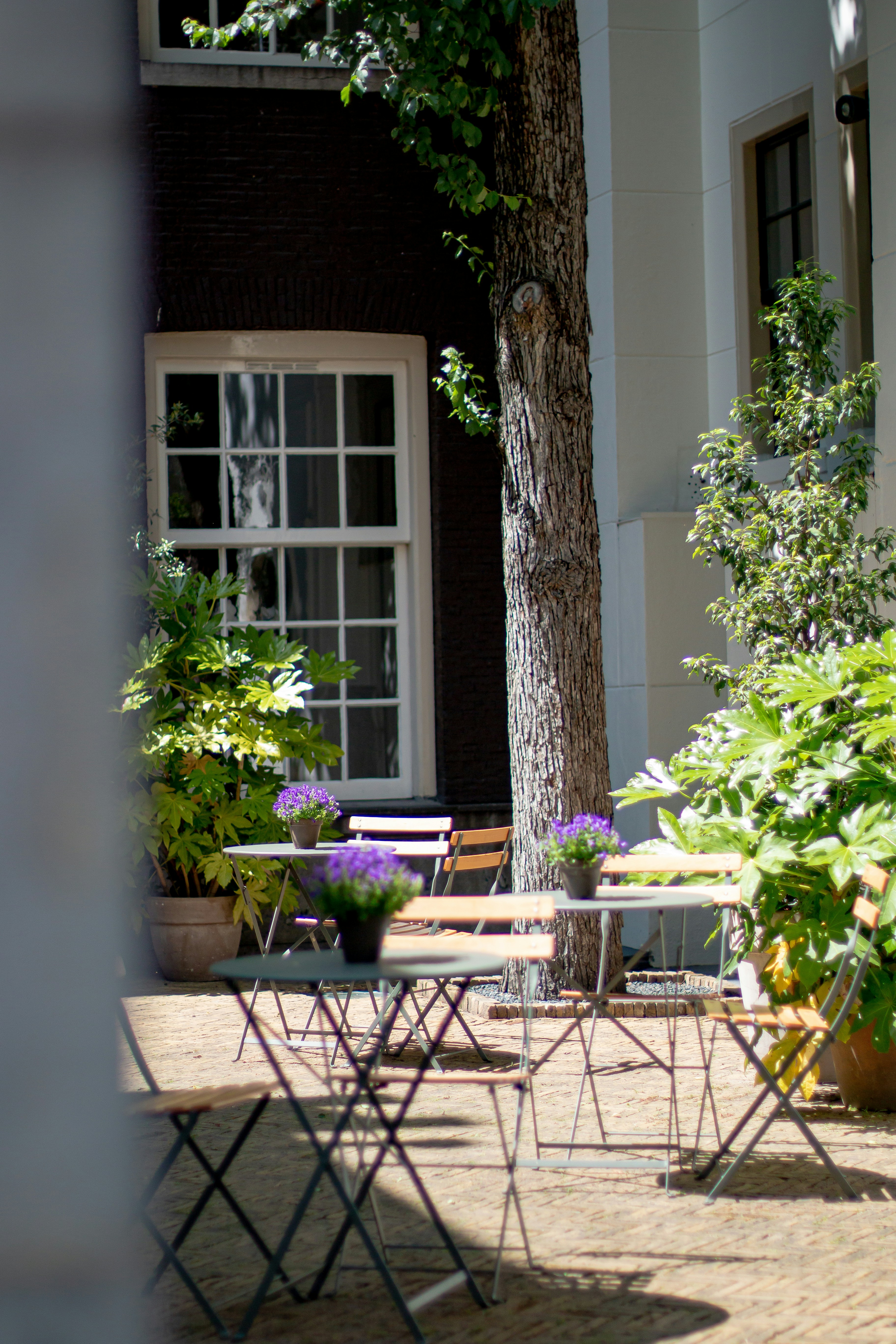 Photo by angeloabear