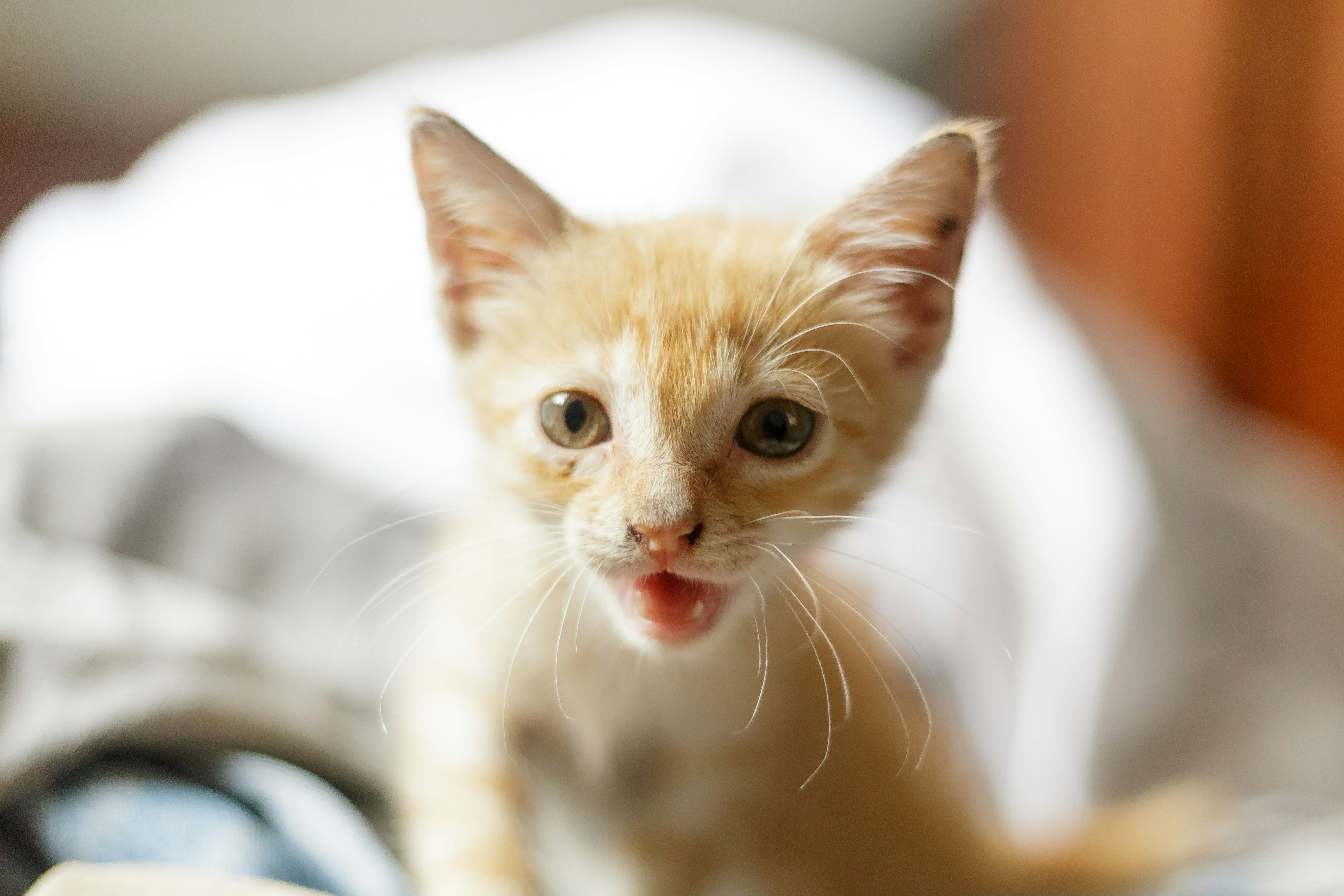 Photo by teejayquaye