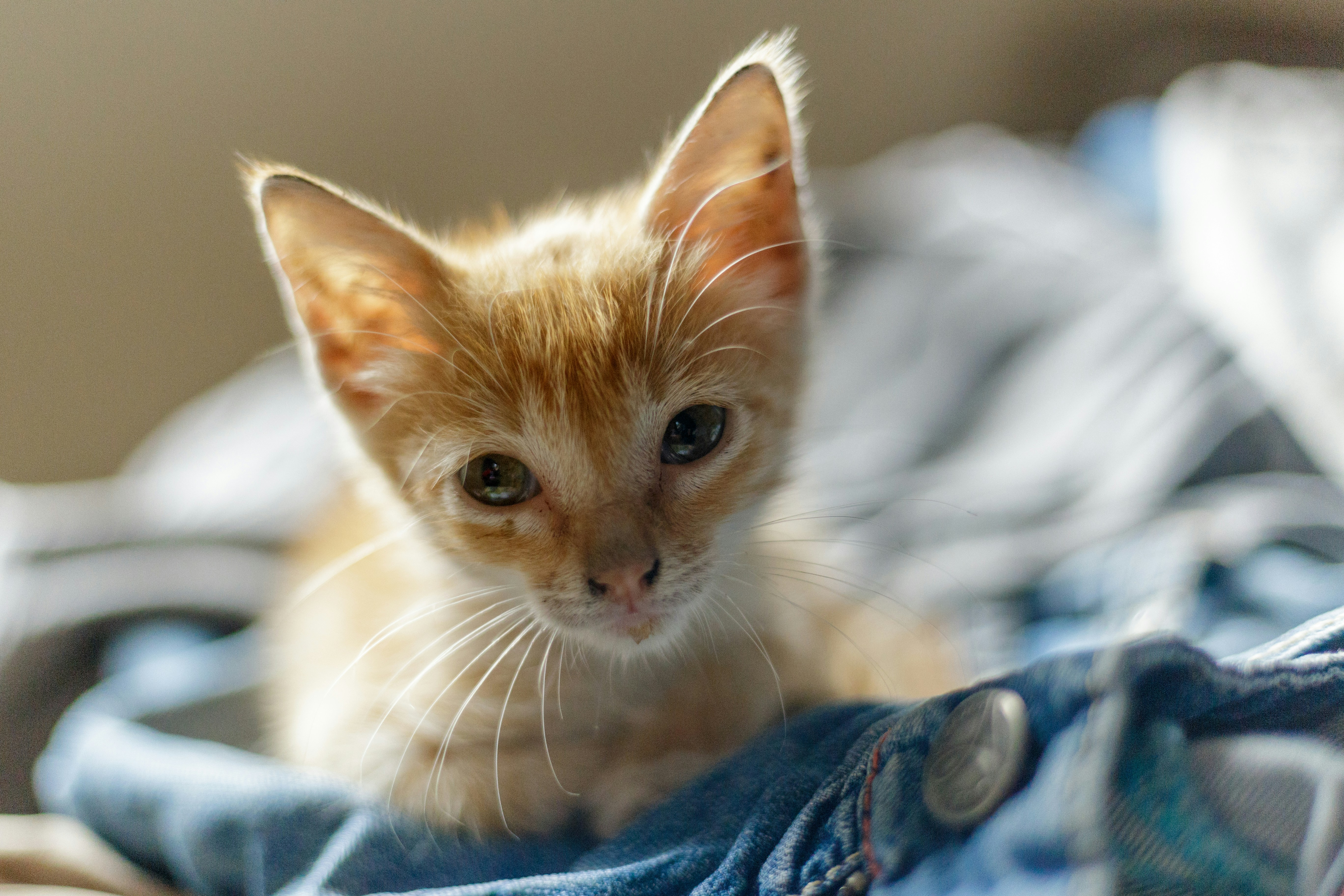 Photo by teejayquaye