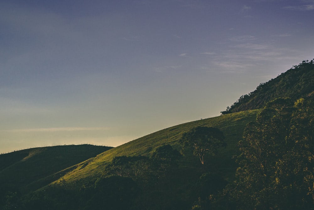 green slope under gray sky during daytime