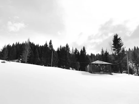 A rugged off-grid power system installed on a remote cabin surrounded by pine trees under a clear blue sky.