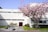 A modern white building with long narrow windows and a dark red door is flanked by a blooming cherry blossom tree on a grassy lawn. A bench and some stone decorations sit on a gravel area in front of the building. The scene is well-lit with clear skies.