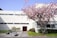 A modern white building with long narrow windows and a dark red door is flanked by a blooming cherry blossom tree on a grassy lawn. A bench and some stone decorations sit on a gravel area in front of the building. The scene is well-lit with clear skies.