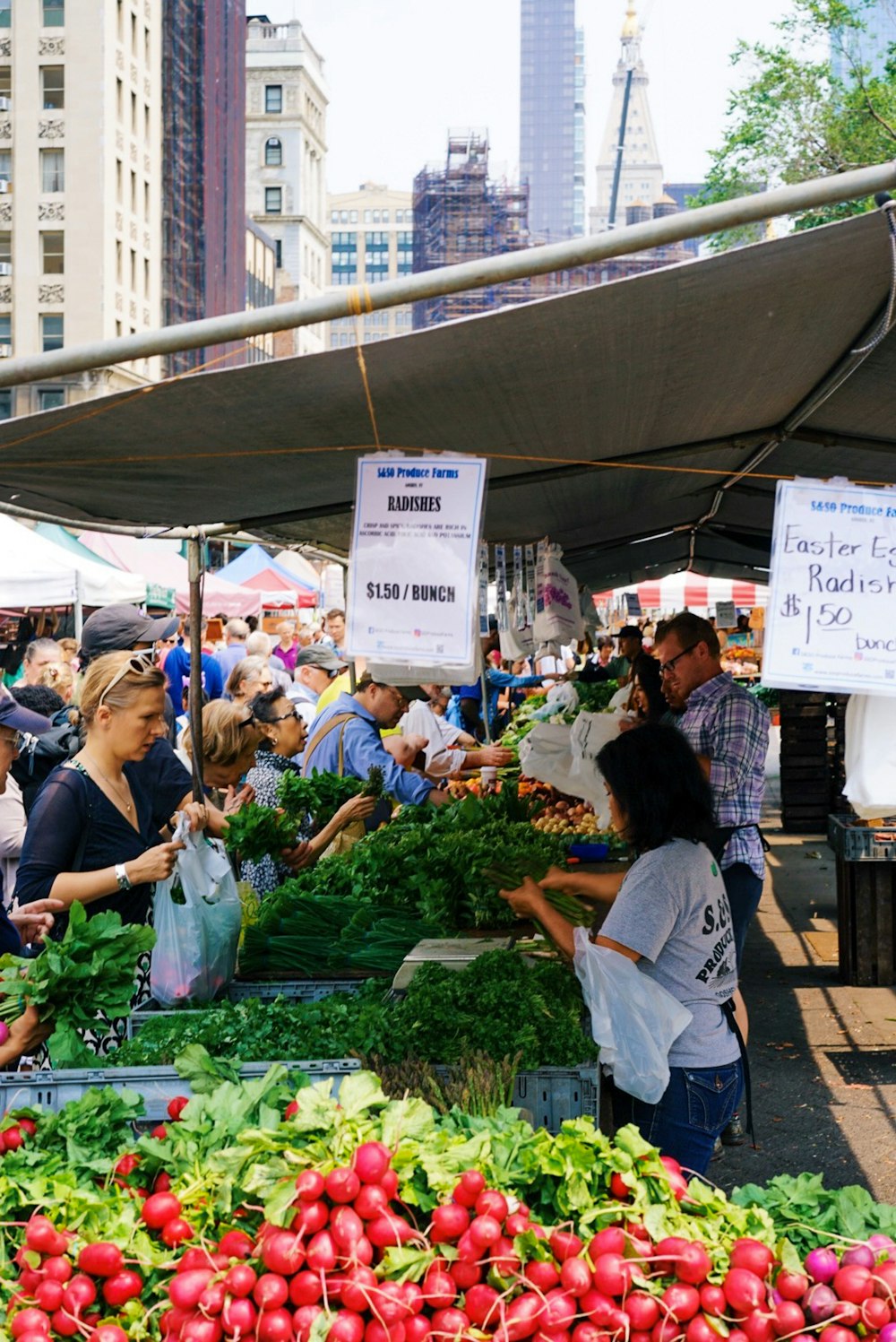 group of people standing near vegetables