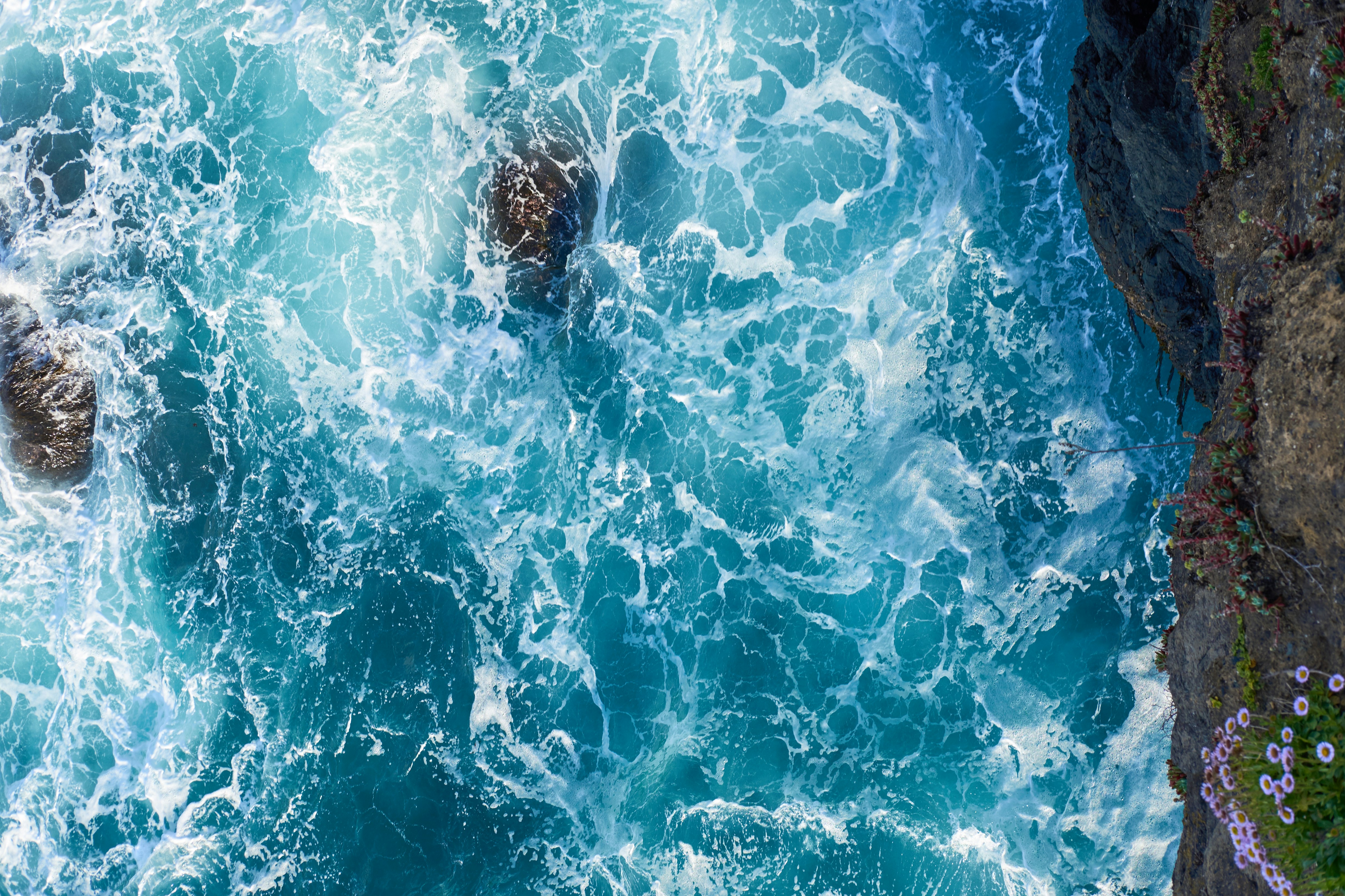 Photo by wesleygibbs