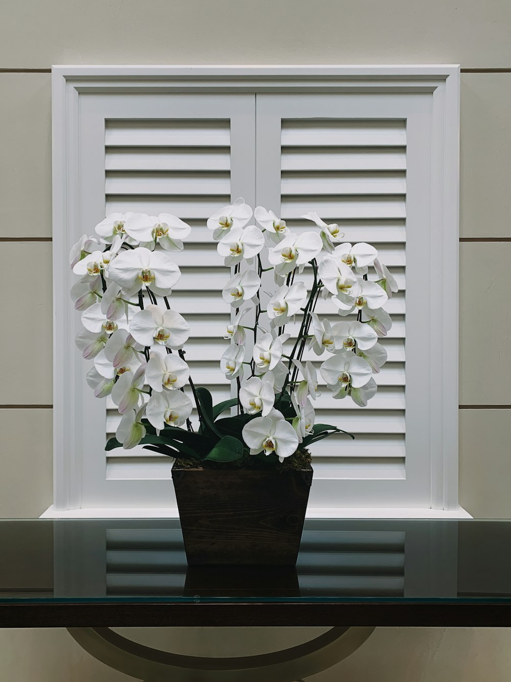 white flower in pot on table