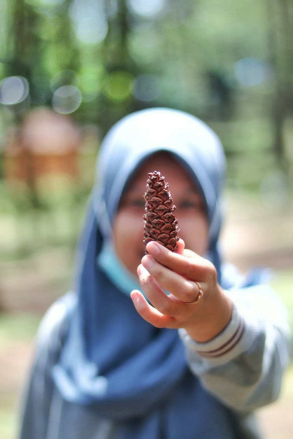 person holding pine cone