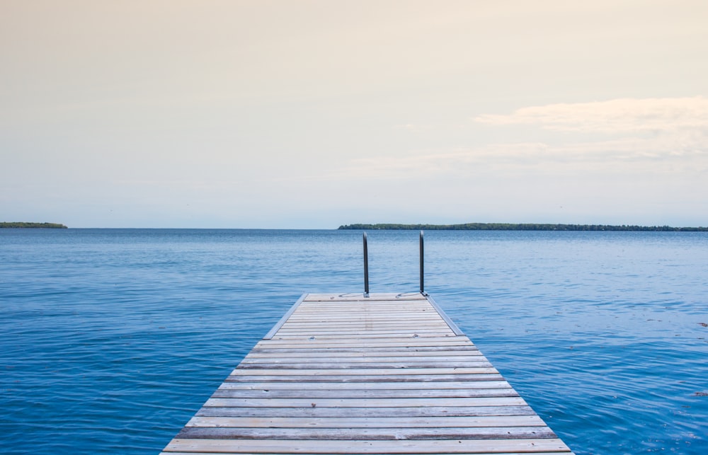 brown wooden boardwalk