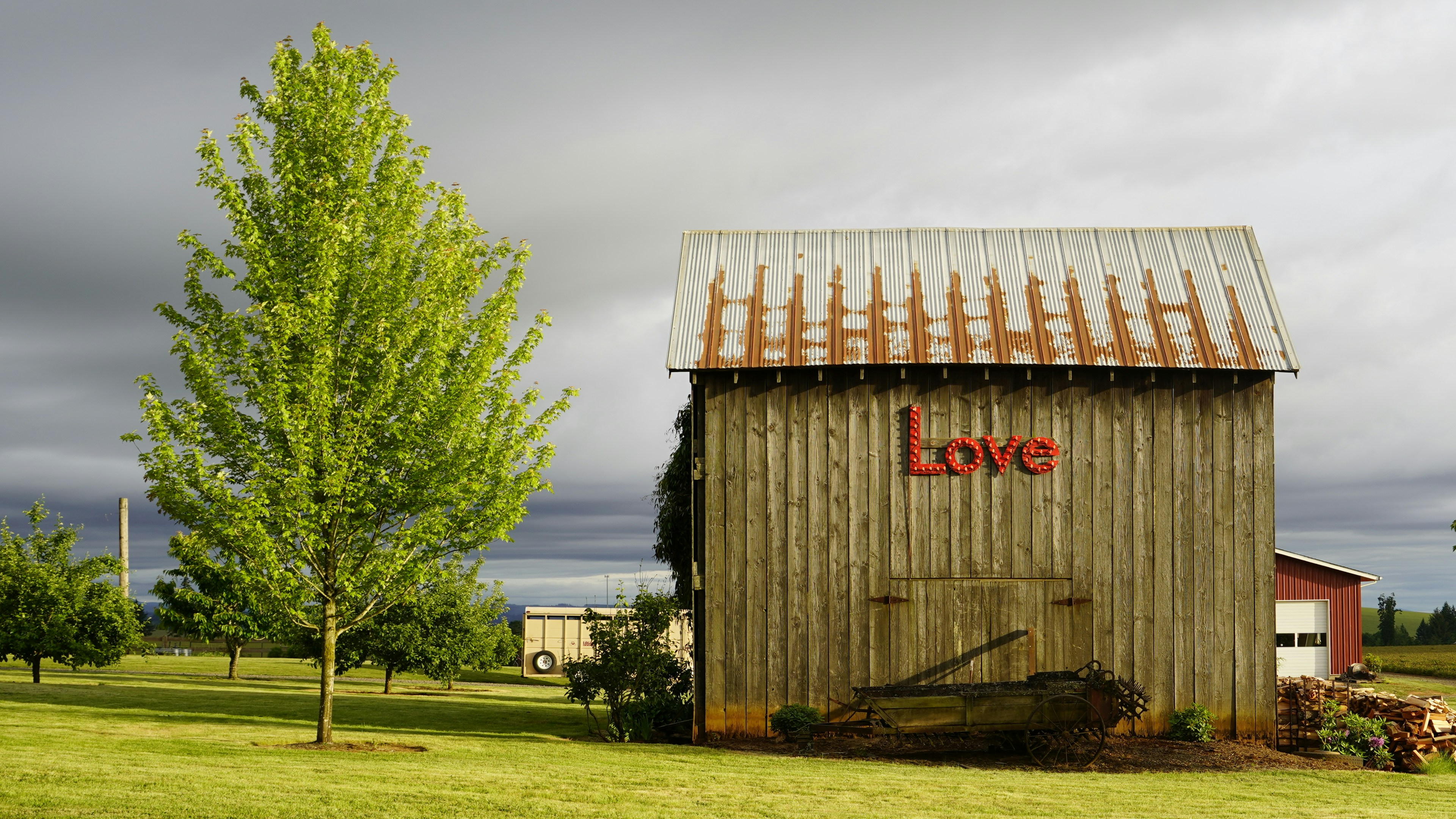 brown wooden shed