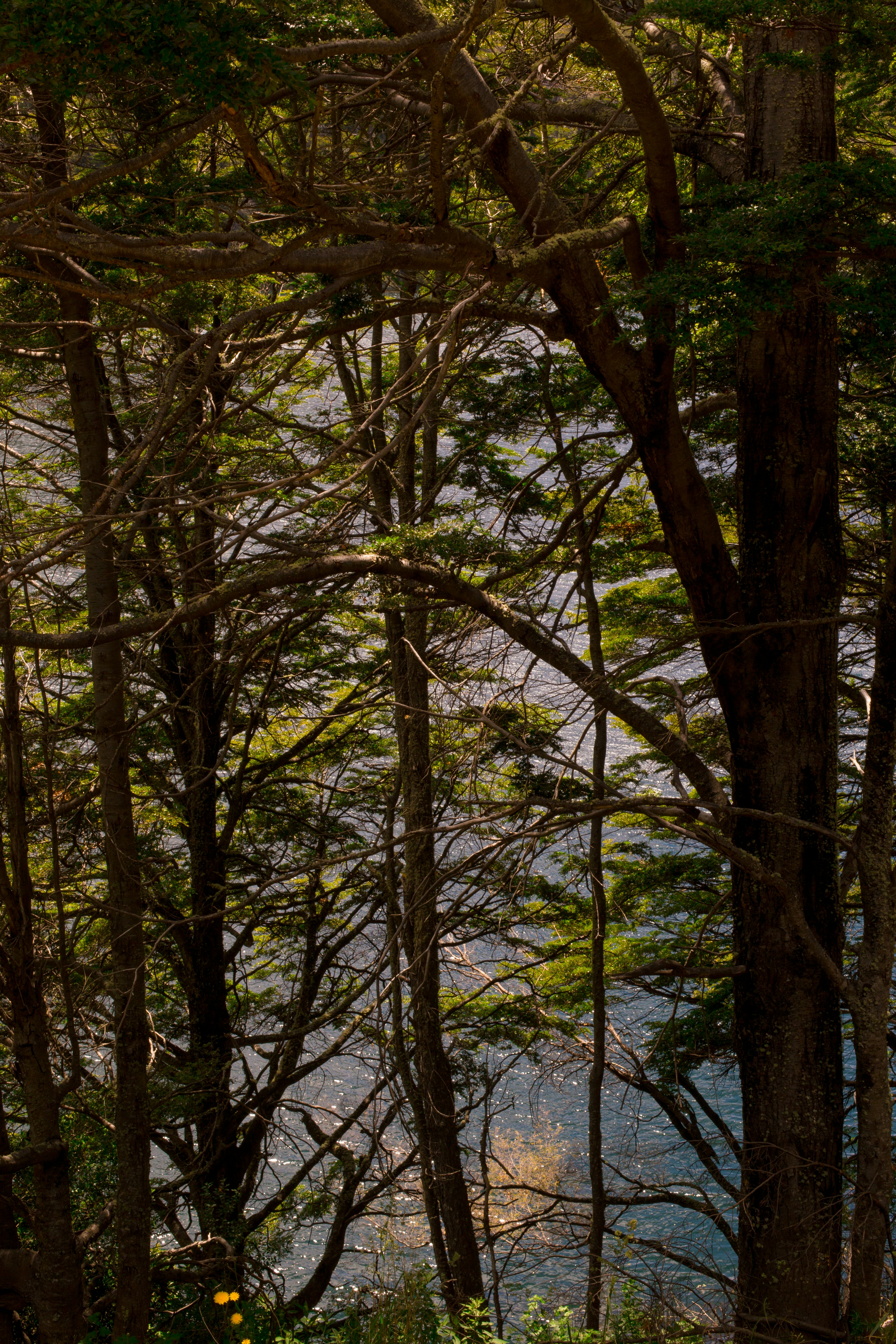 Photo by nikoherrera