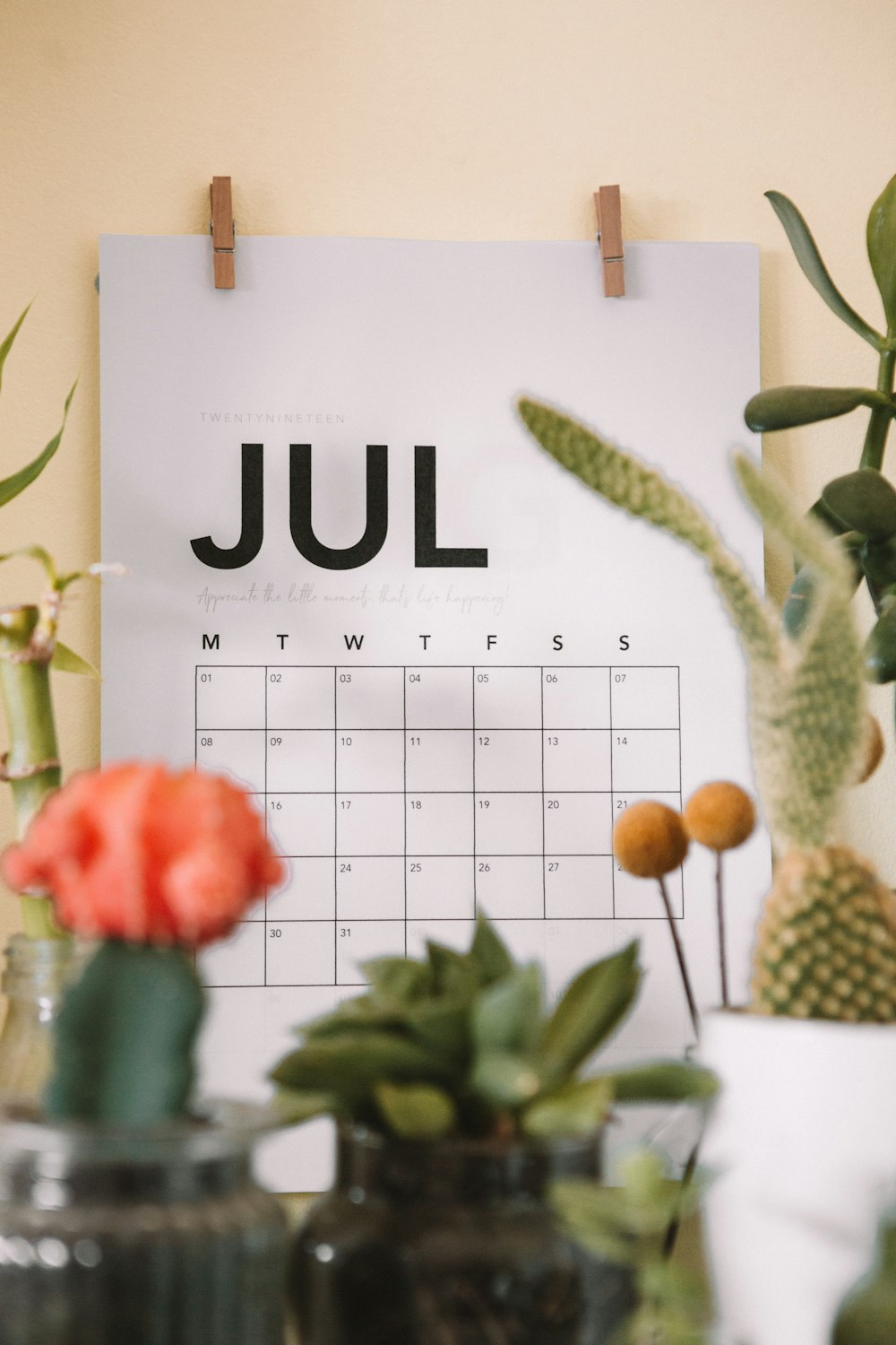 Calendario de julio sobre fotografía de enfoque