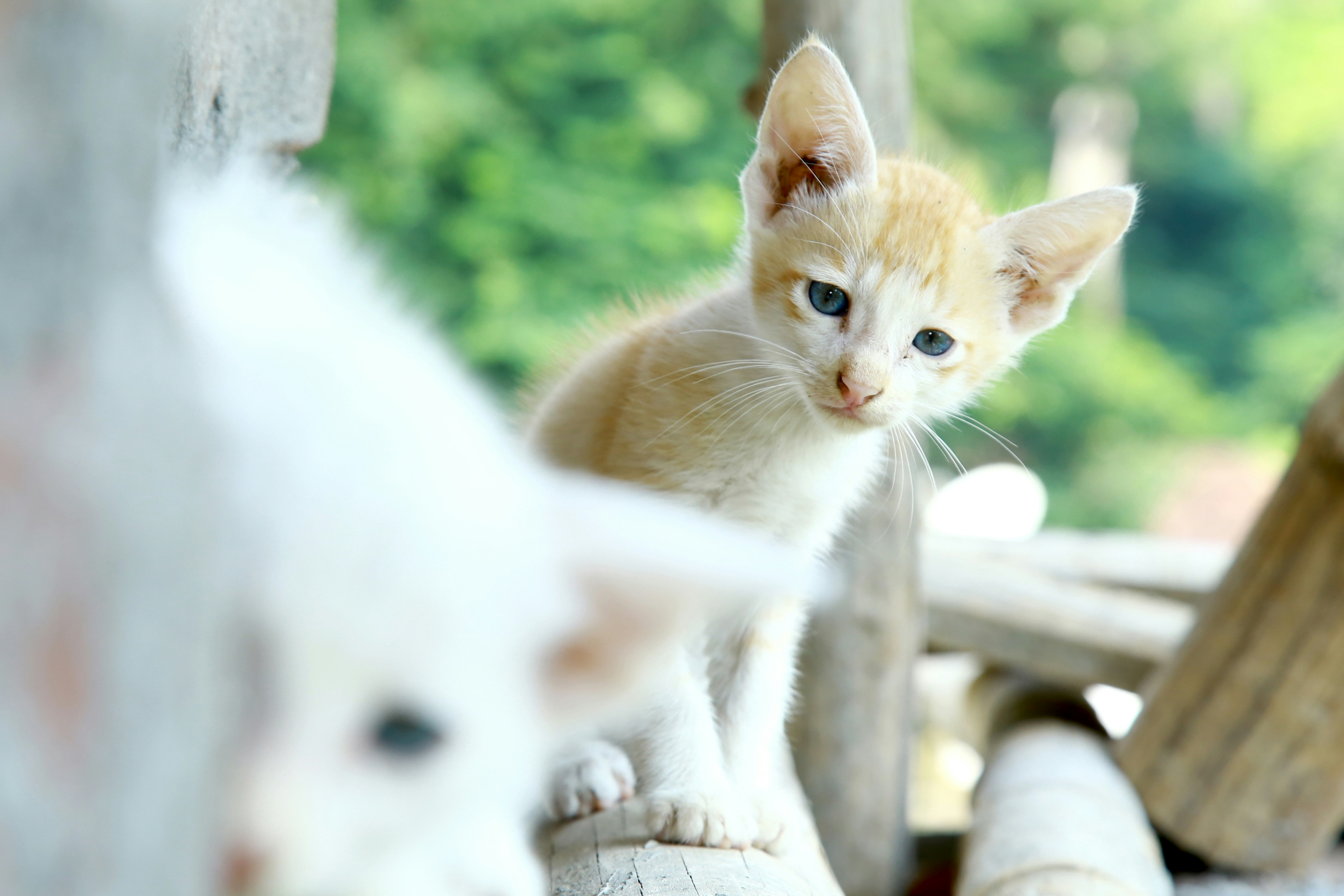 Photo by wilsanphotography