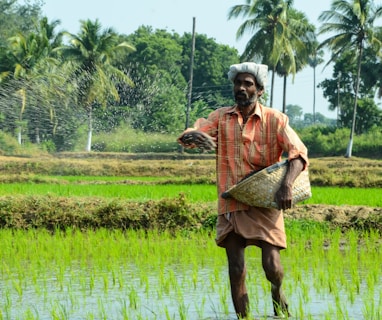 man standing while carrying wicker basket in the middle of rice field surrounded with tall trees