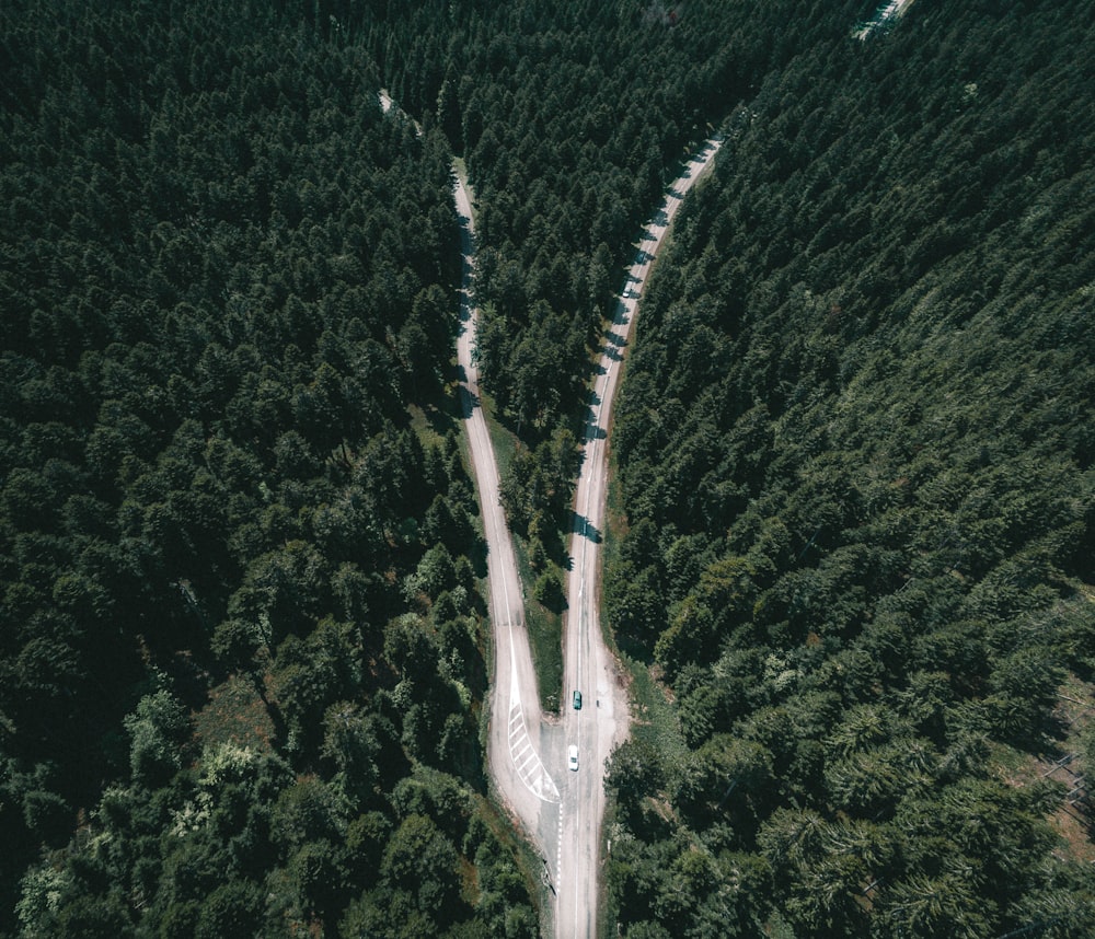 Fotografia de visão em alto ângulo de estrada entre florestas