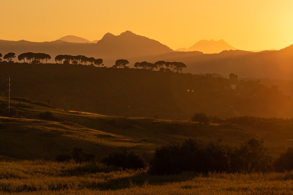 green grass field near mountain during golden hour