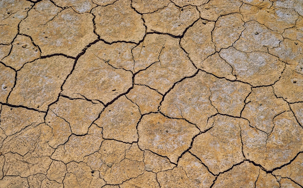 a close up of a cracked concrete surface