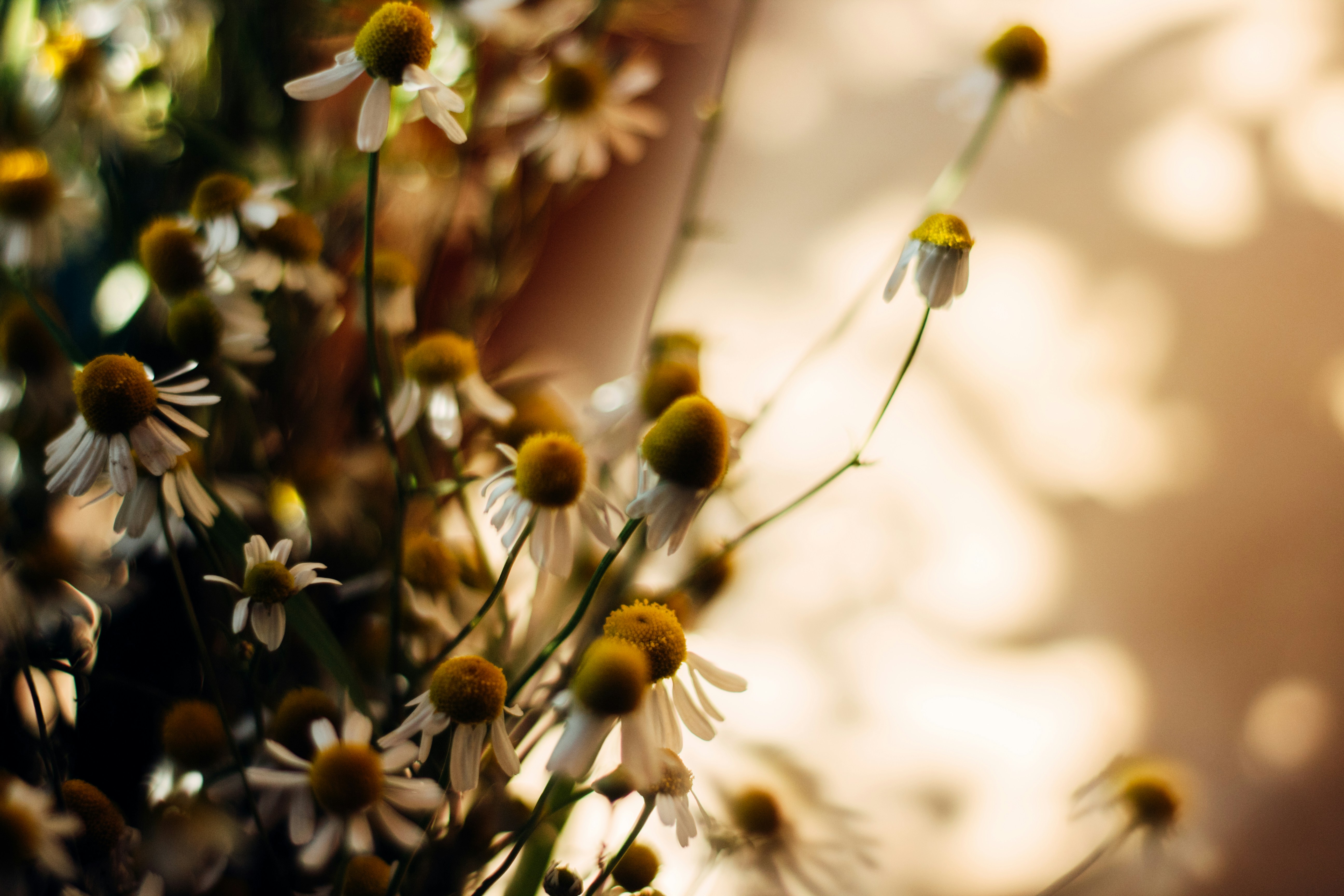 Photo by kozyrka_kate