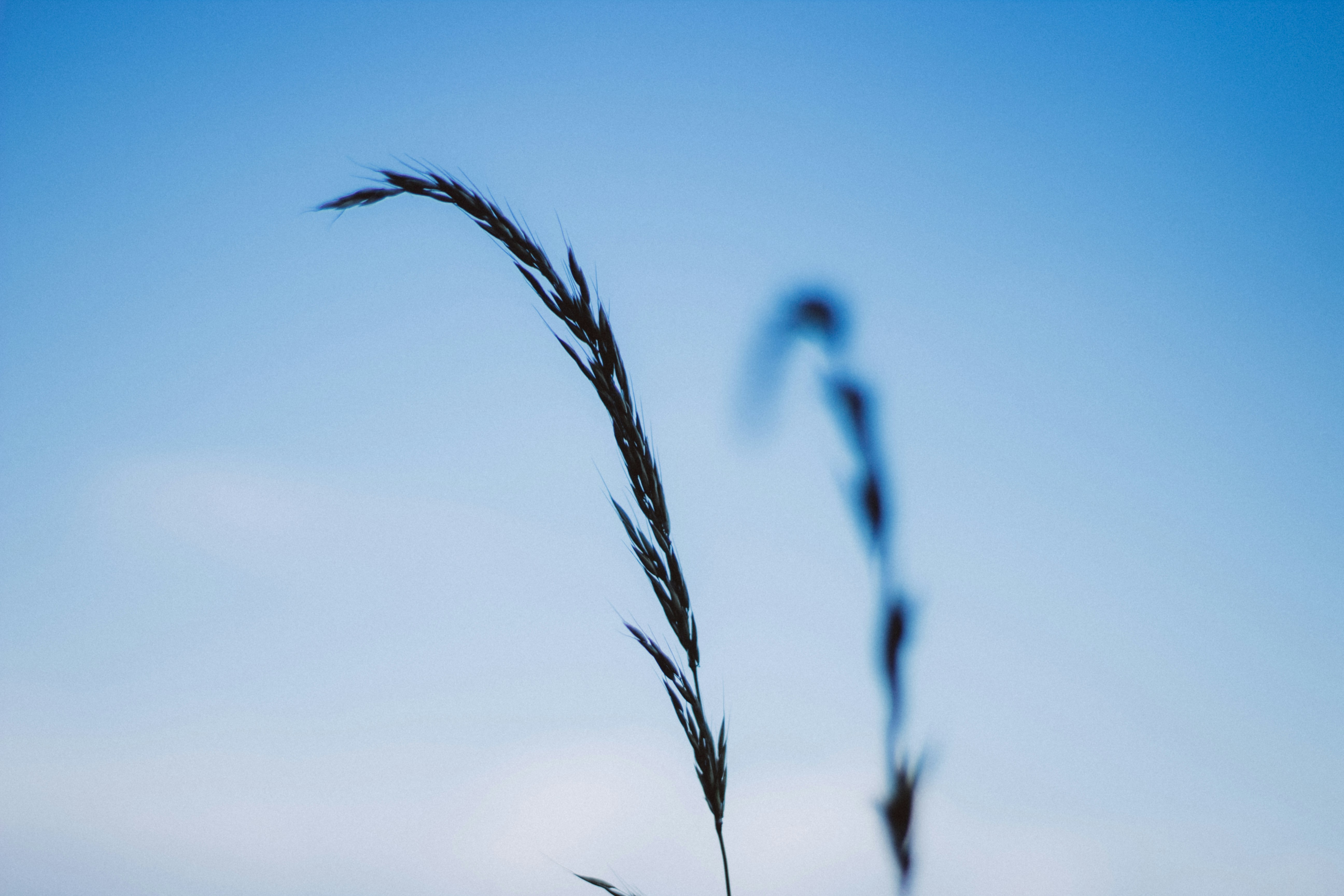 Photo by kozyrka_kate