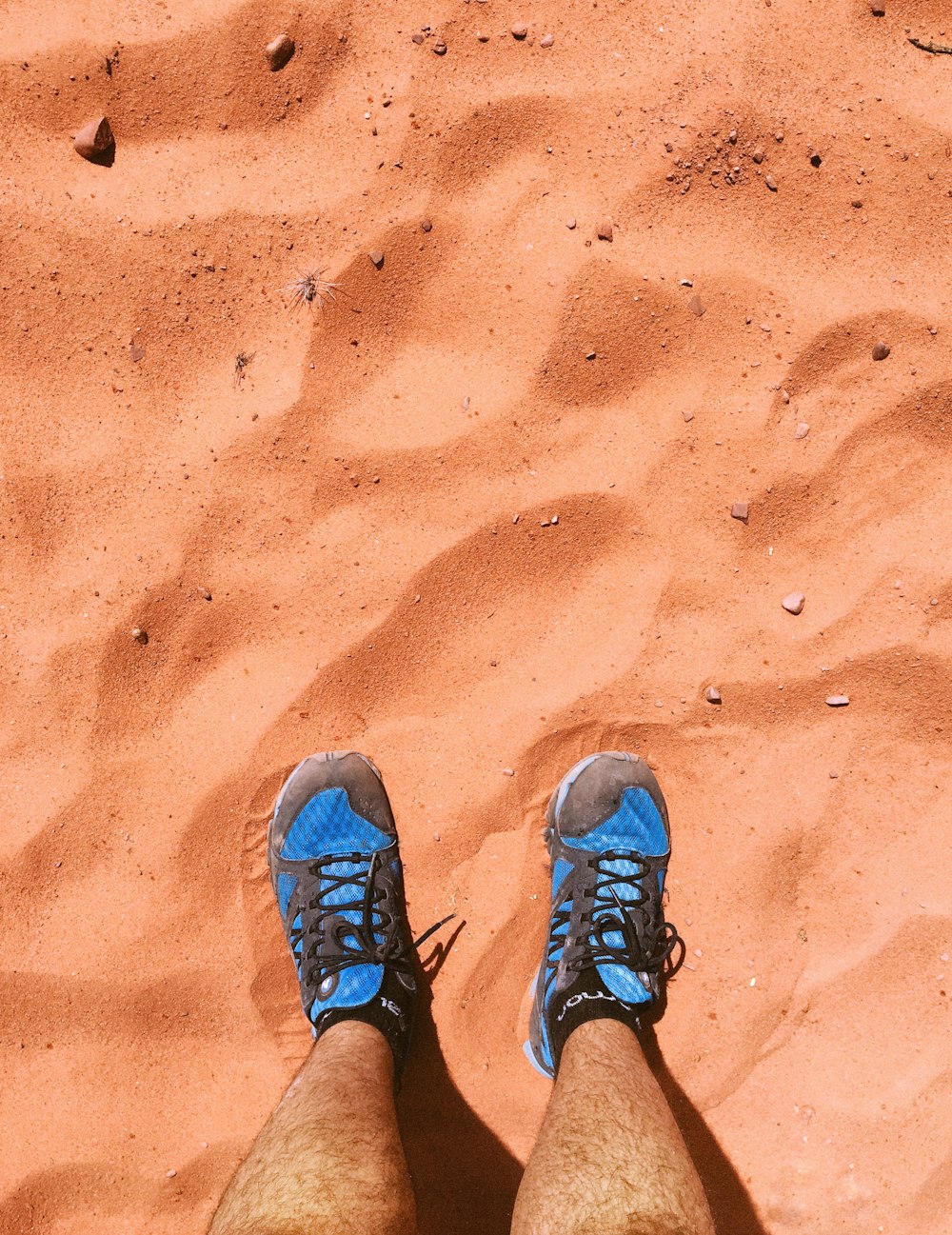 person wearing blue hiking shoes