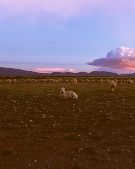 photo of la rinconada during a holiday curated by Francesco Margaretini Luxury Travels 