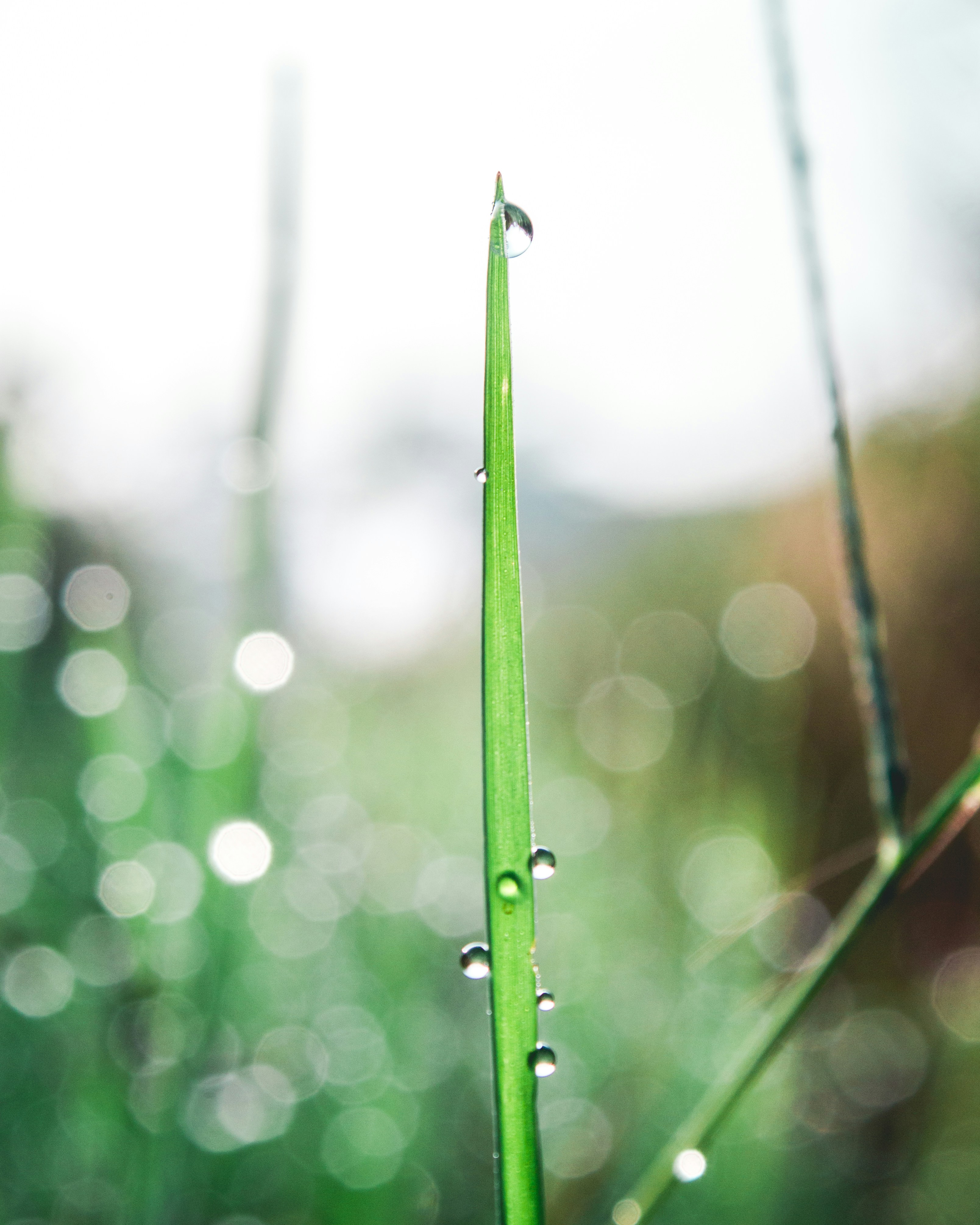 Photo by ekarizal_fikri