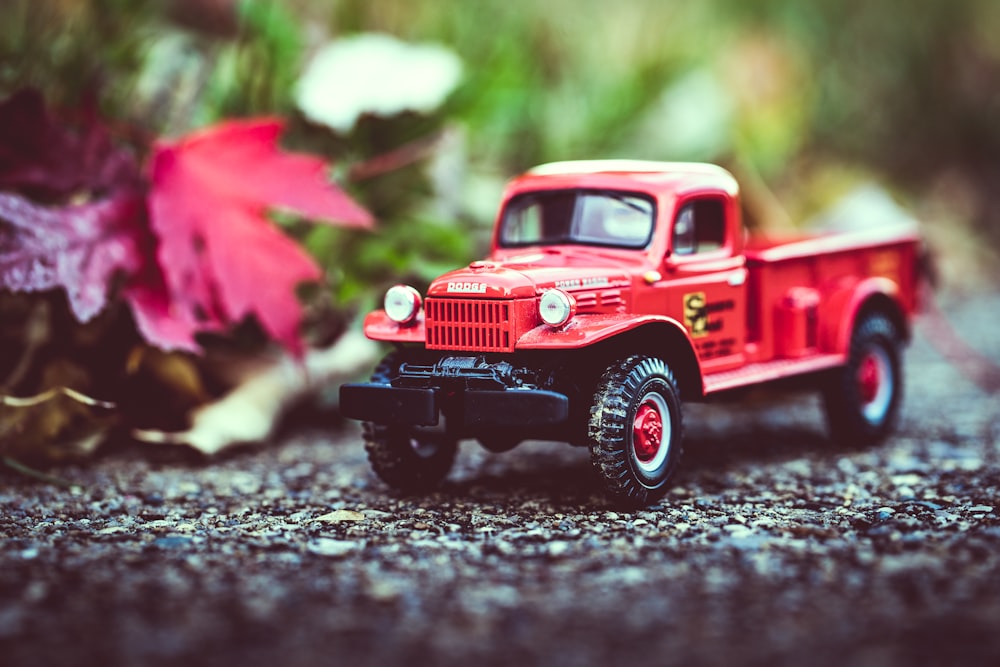 red and black pickup truck toy near red maple leaf